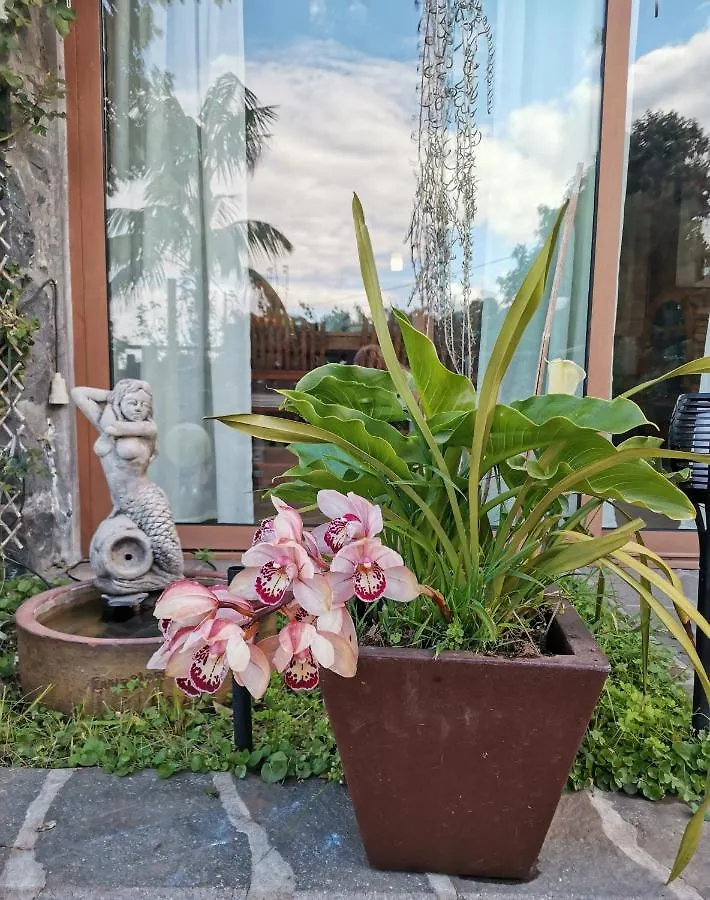 Holiday home Finca Vistas Al Teide Con Jacuzzi, Wifi Y Tv Satelite Santa Ursula